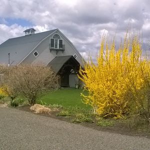 Meet your Posher, Carmen